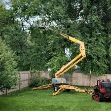 Grass Overseeding in Silver Lake, NJ