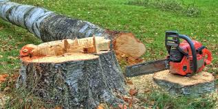 Best Tree and Shrub Care  in Silver Lake, NJ
