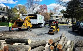 Best Lot and Land Clearing  in Silver Lake, NJ