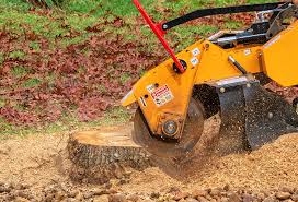 Best Tree Preservation Services  in Silver Lake, NJ