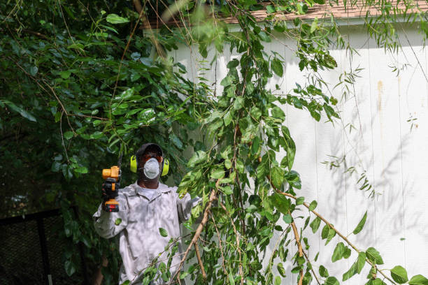 Best Weed Control  in Silver Lake, NJ